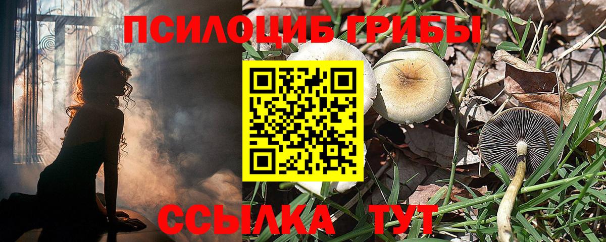 Псилоцибиновые грибы Psilocybe  Галлюциногенные грибы Cubensis  Ковров  Вход с VPN 