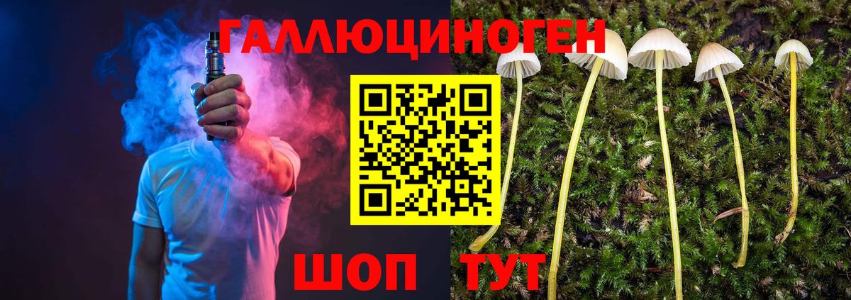 Галлюциногенные грибы Psilocybine cubensis Ковров